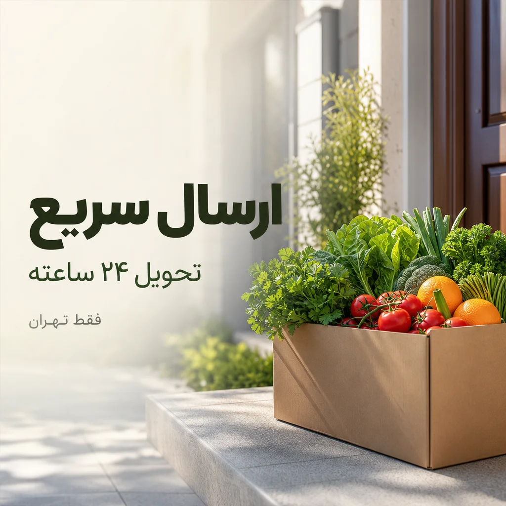 ارسال سریع