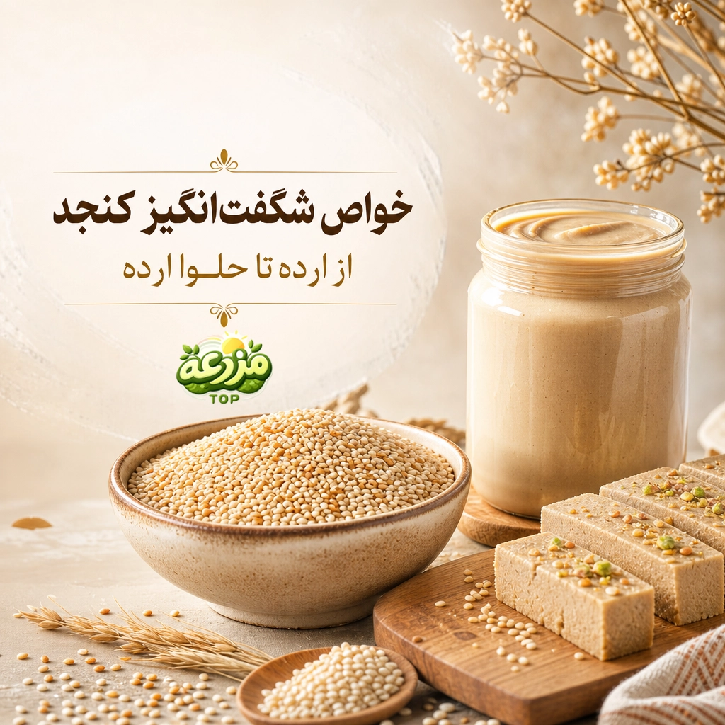 کنجد؛ دانه کوچک با خواص بزرگ