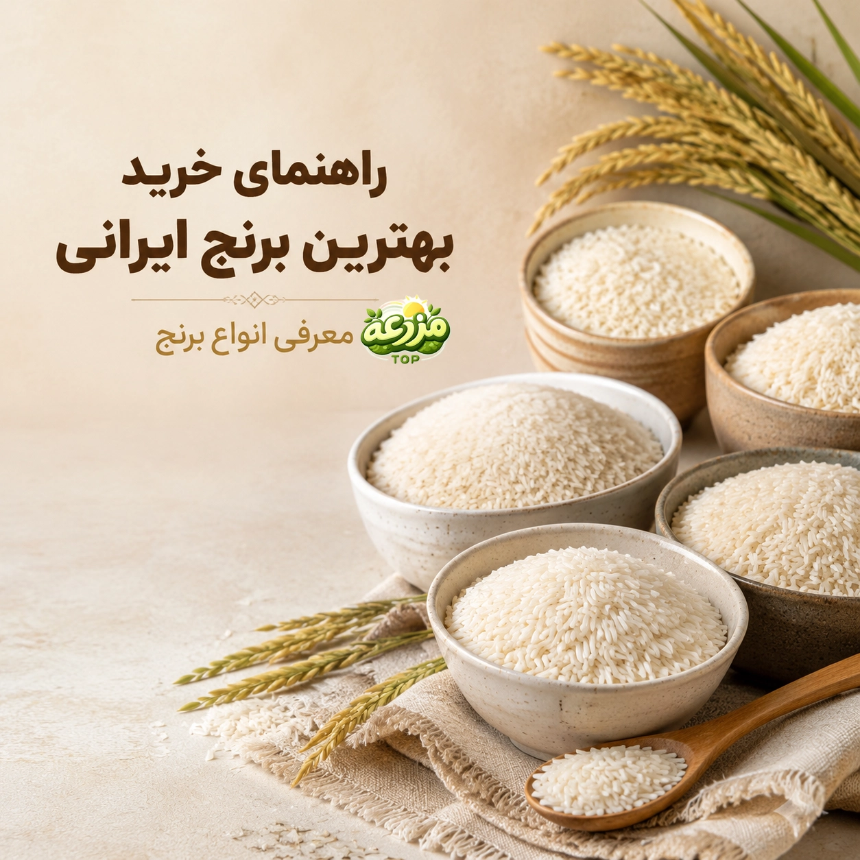 راهنمای خرید بهترین برنج ایرانی؛ انواع، پخت و نکات طلایی