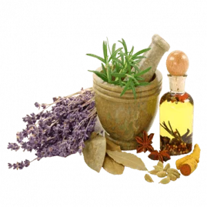 گیاهان دارویی