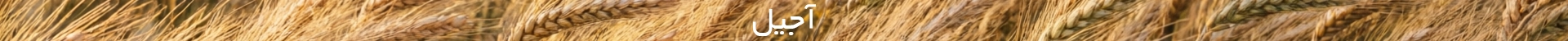 بنر 2