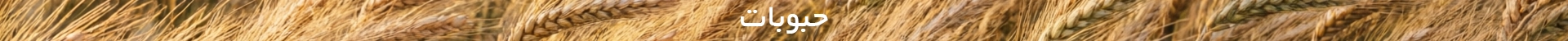 بنر 4