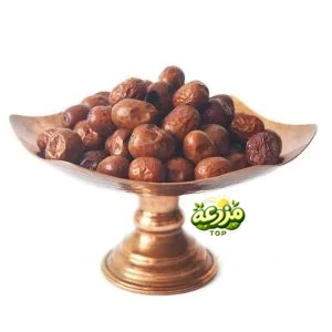 عناب