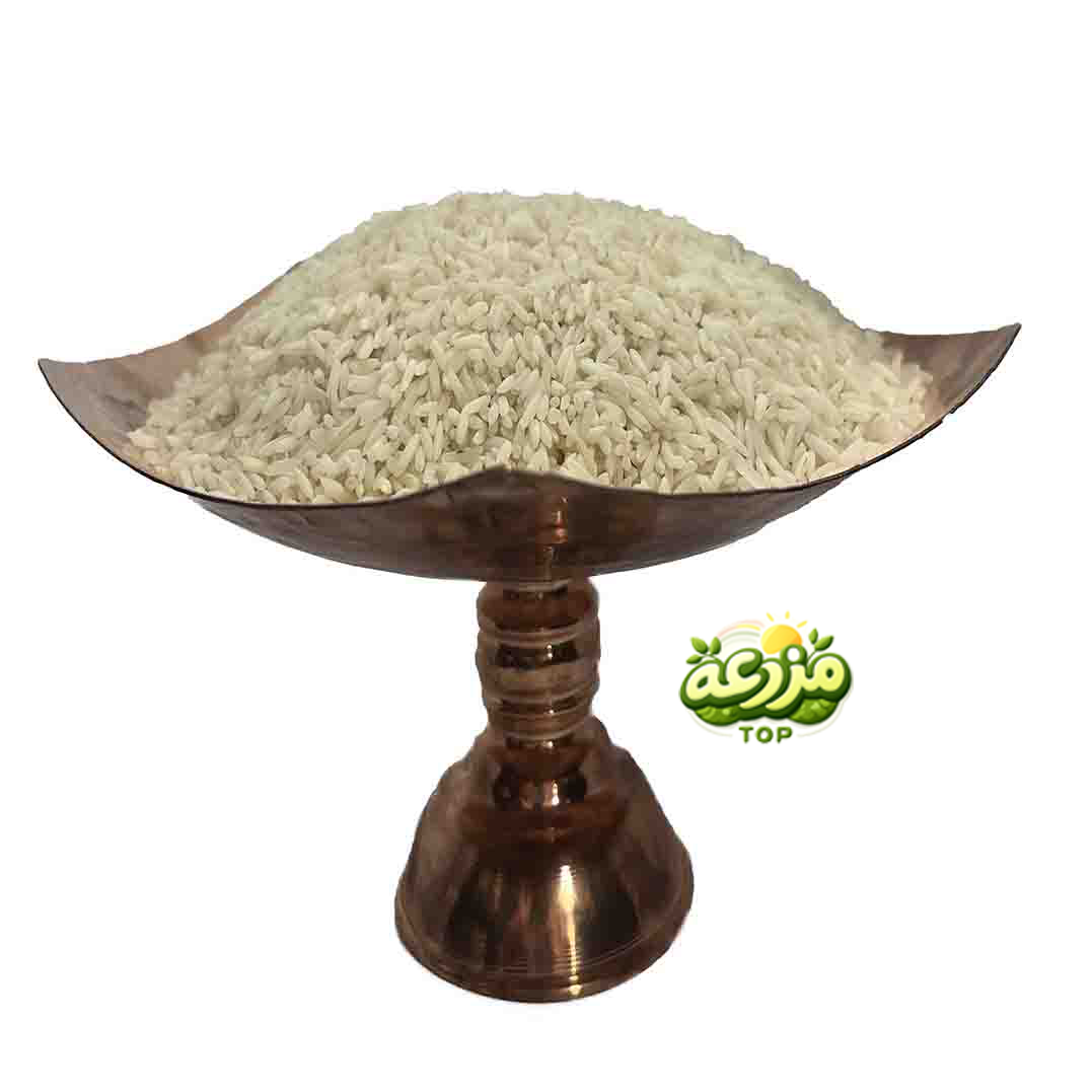برنج دوباره کشت اعیانی - عکس 2