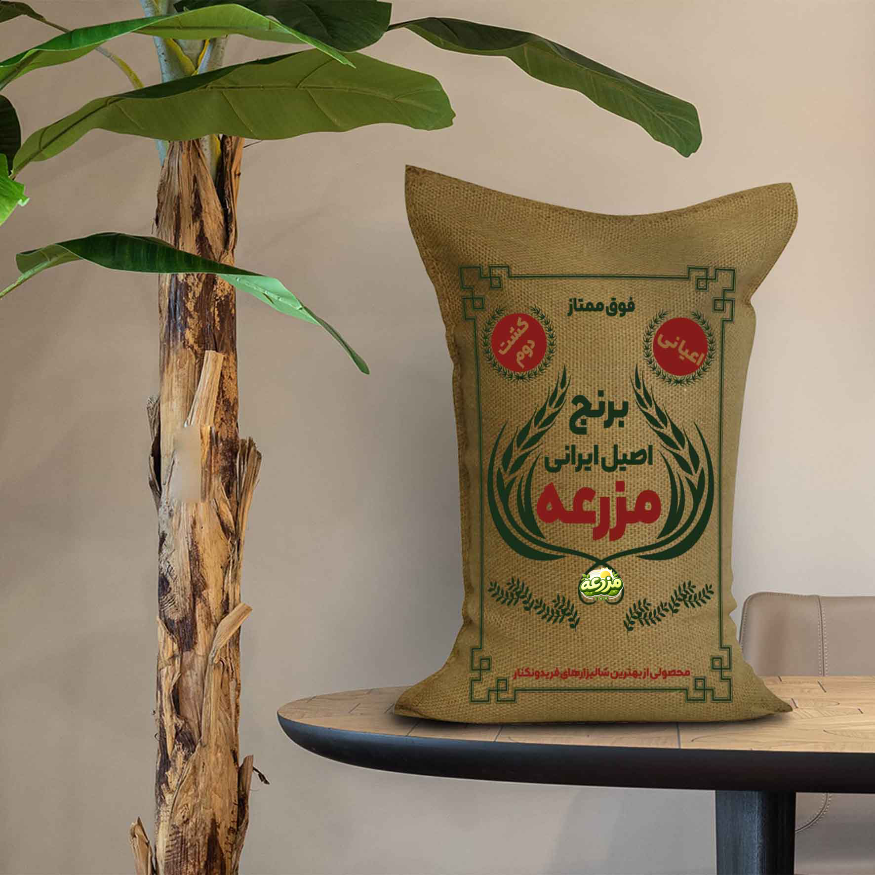 برنج دوباره کشت اعیانی - عکس 4