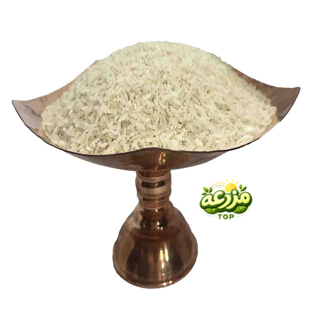 برنج شیرودی - عکس 2