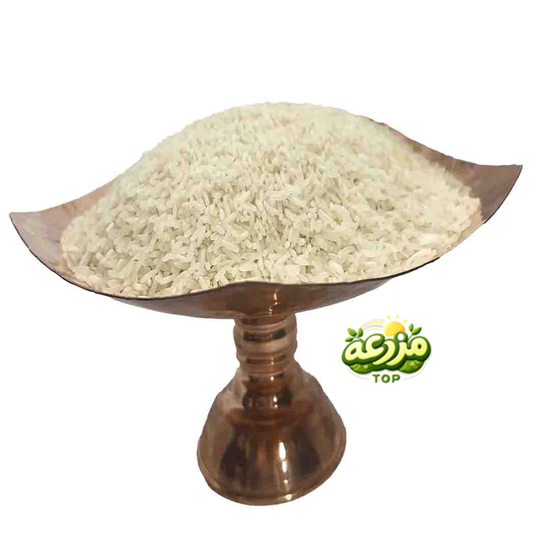 برنج هاشمی - عکس 2