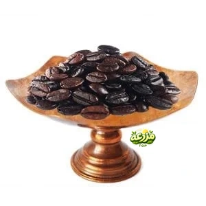 دانه قهوه 100% روبوستا