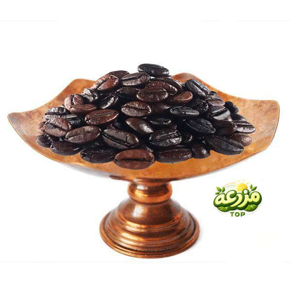 دانه قهوه 100% روبوستا