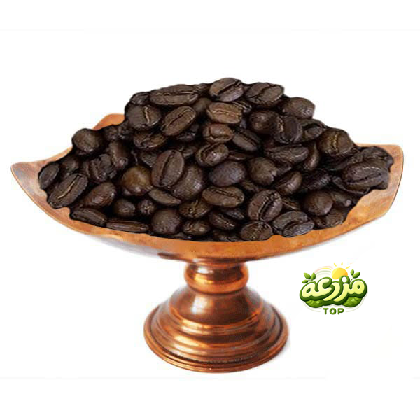 دانه قهوه اسپرسو 70/30