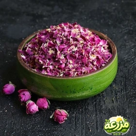 پرگل محمدی