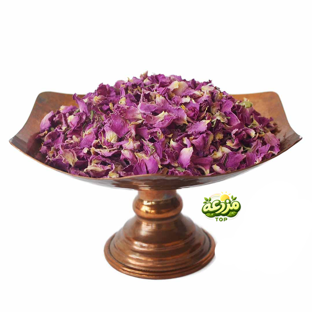 پرگل محمدی