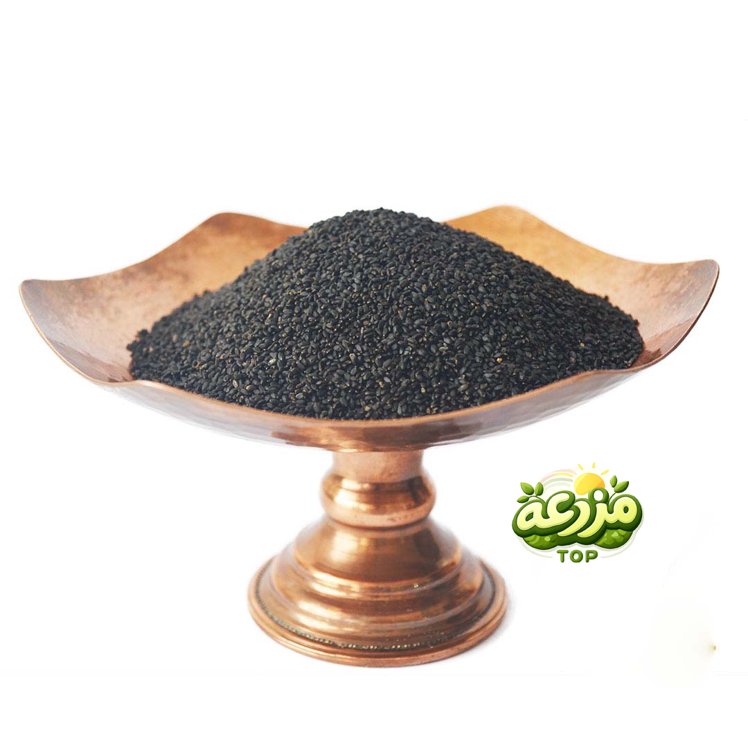 تخم شربتی