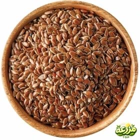 تخم کتان