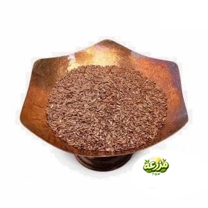 تخم کتان