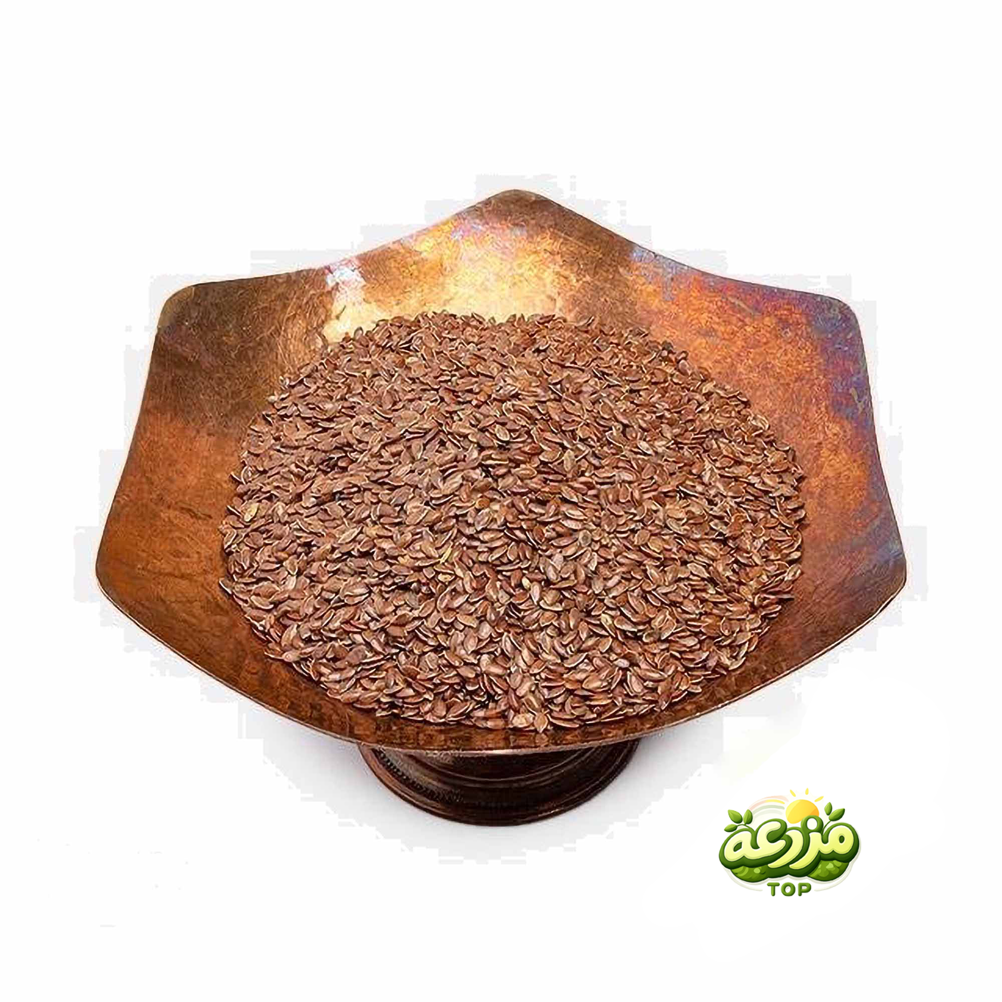 تخم کتان