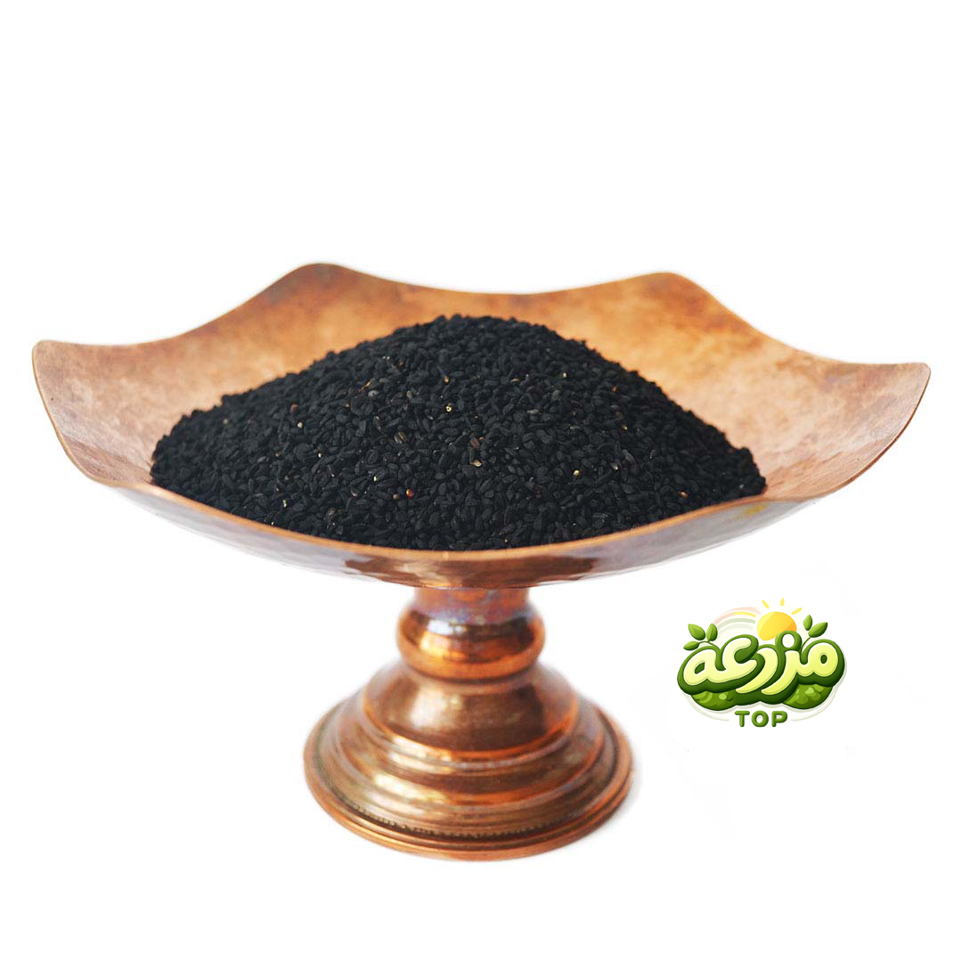 سیاهدانه - عکس 1