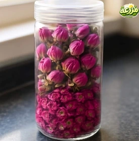 غنچه گل محمدی