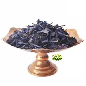 گل گاو زبان