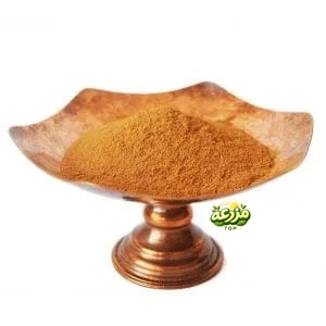 پودر دارچین