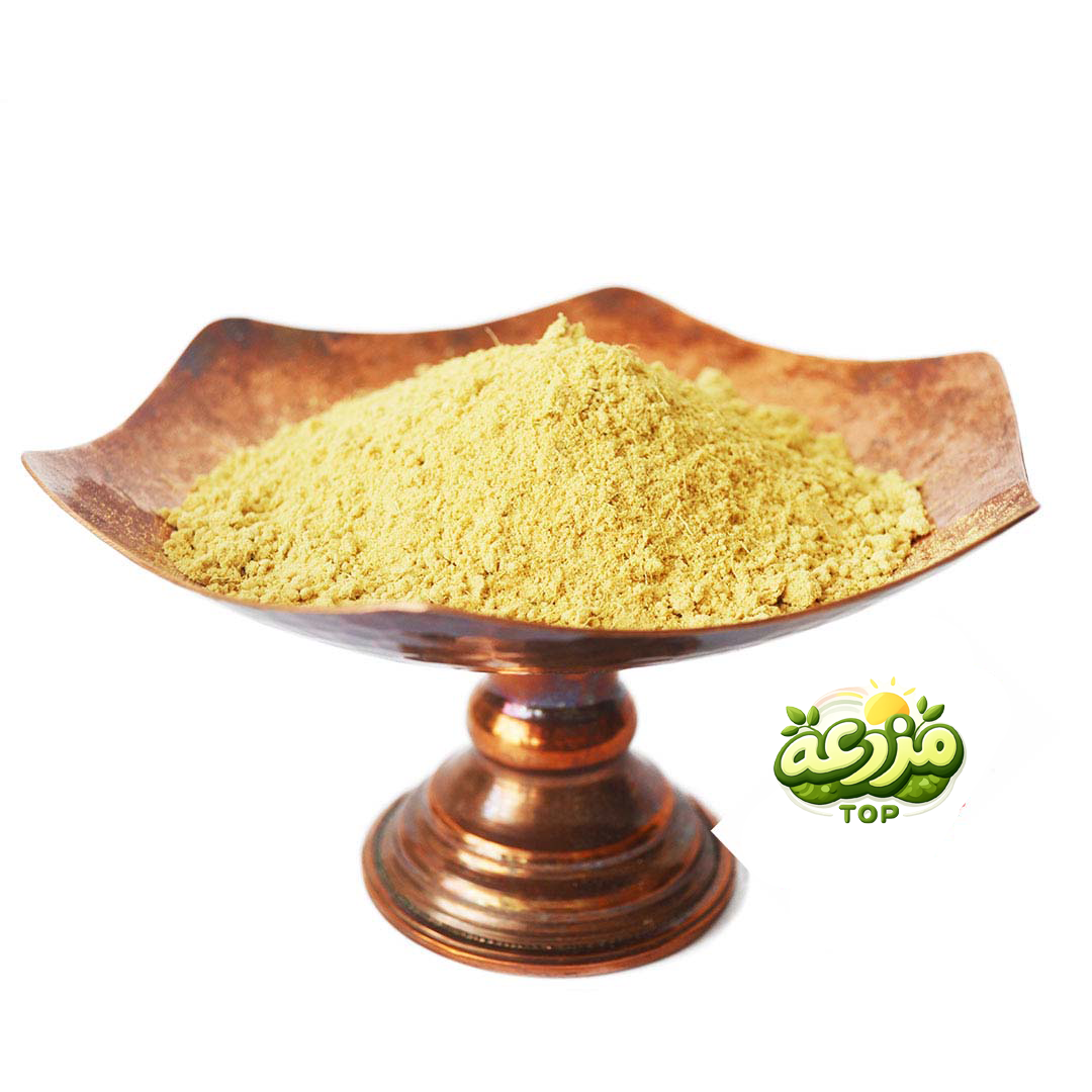 پودر زنجبیل