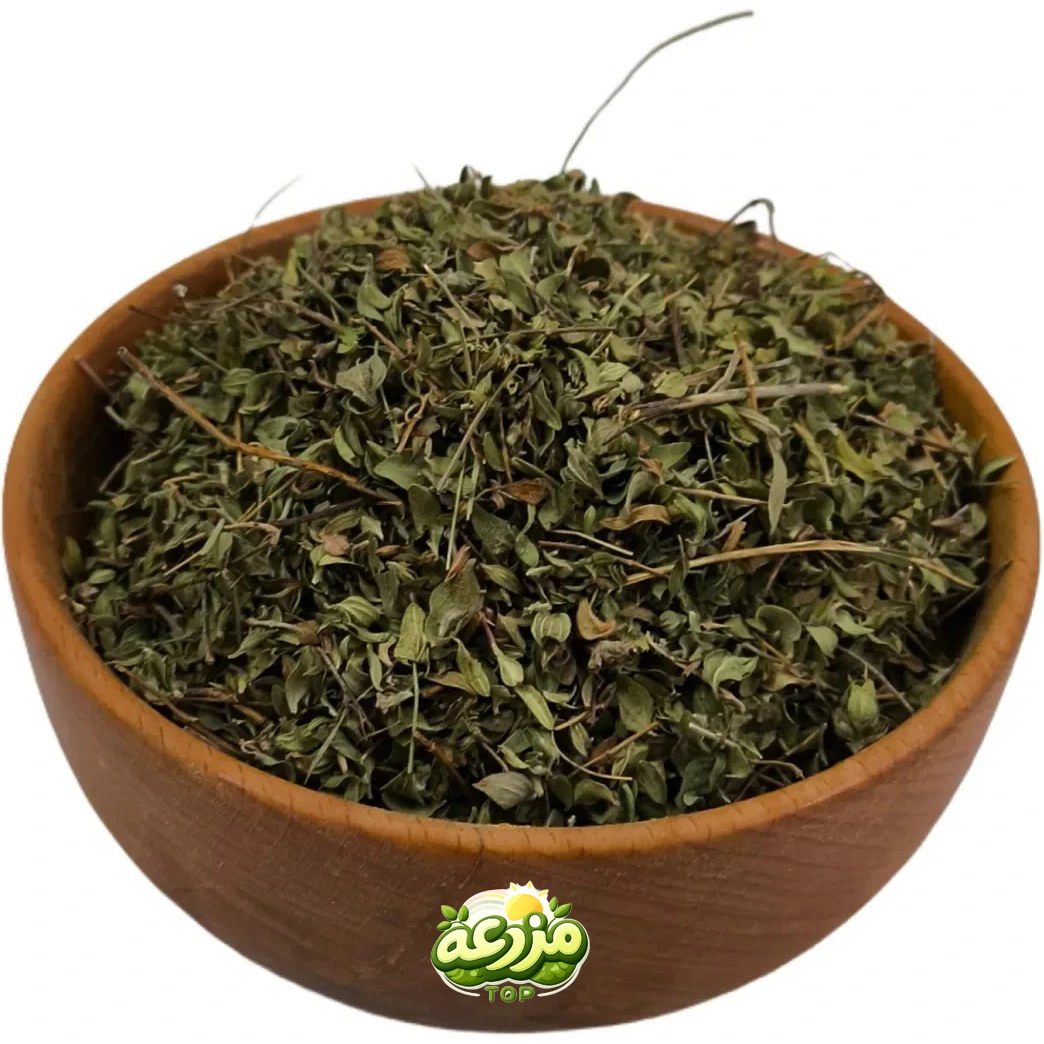 پودرآویشن اعلاء - عکس 2