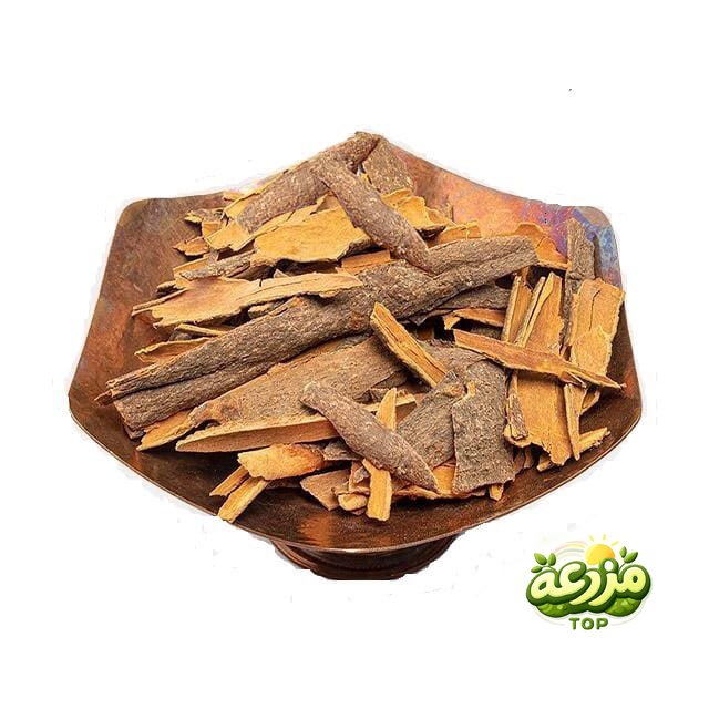 دارچین شکسته