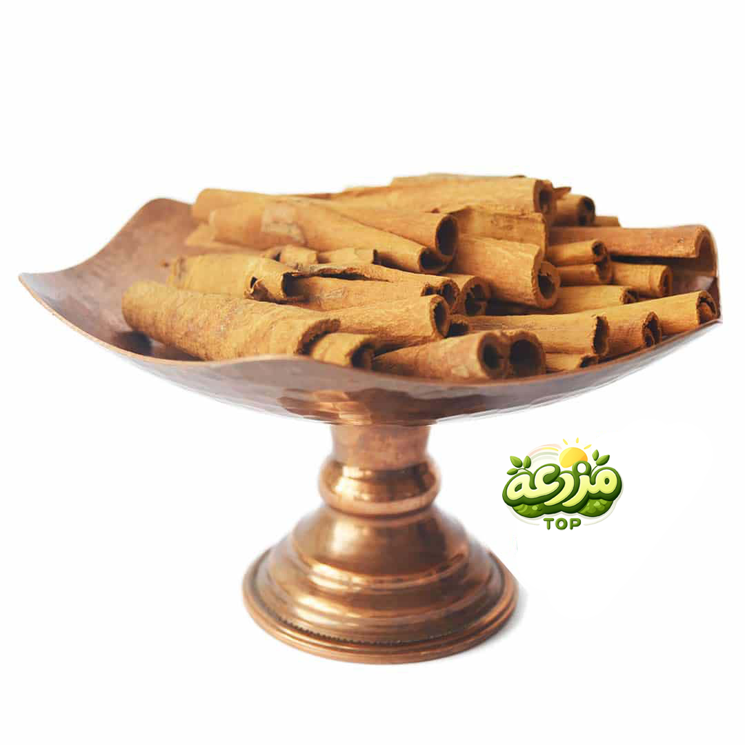 دارچین مدادی