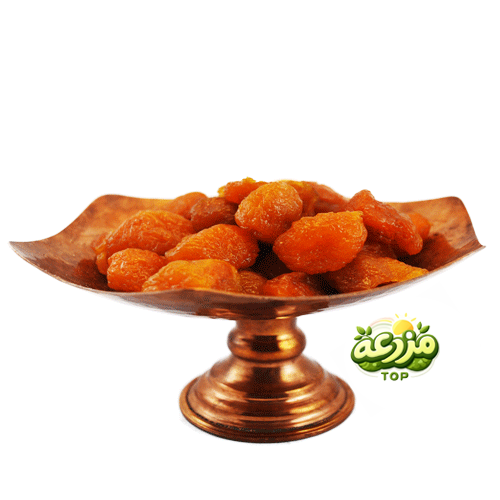 آلو خورشتی حاج حسنی