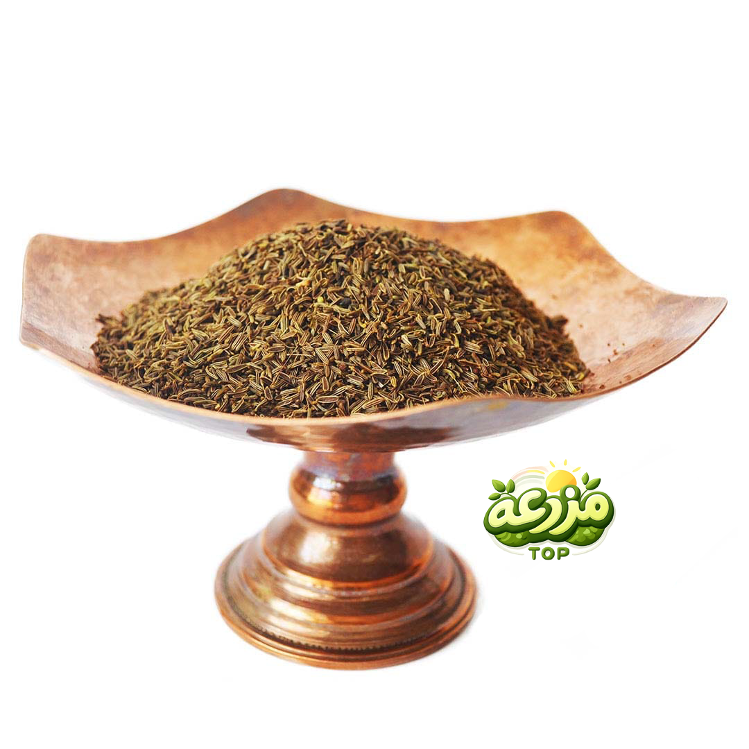 زیره سیاه