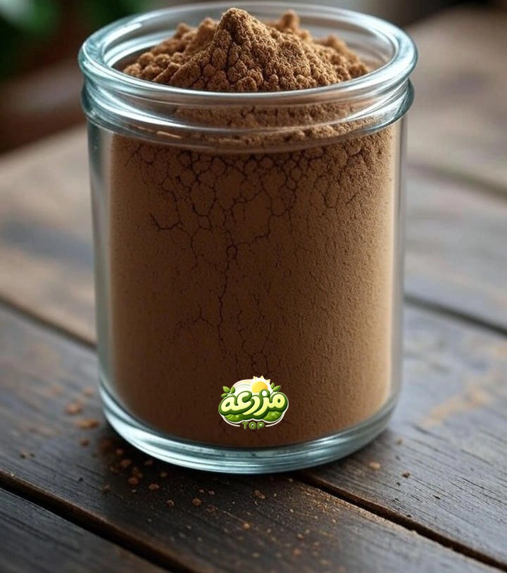 سماق قهوه ای - عکس 2