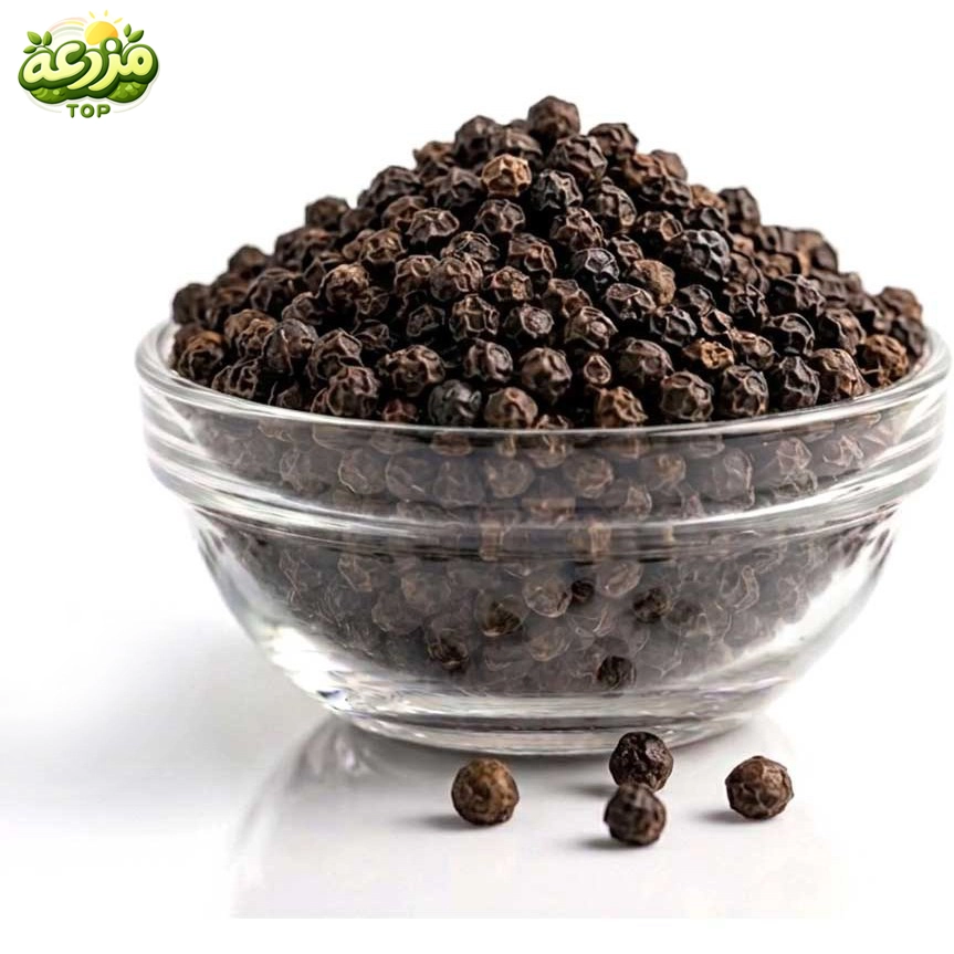 فلفل سیاه - عکس 2