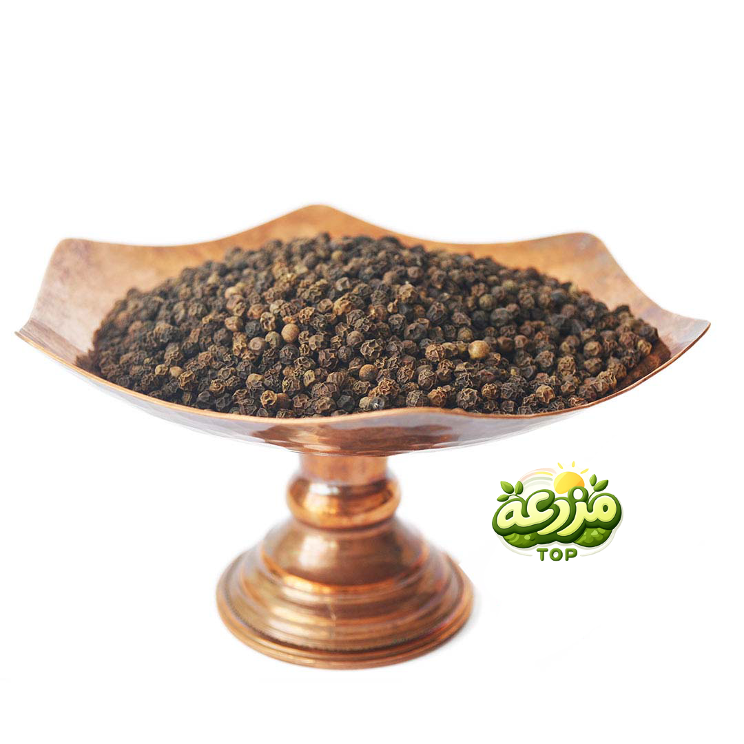 فلفل سیاه