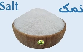 نمک یددار