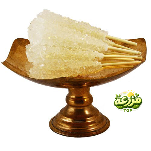 نبات چوبی سفید