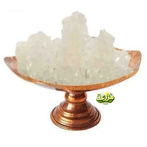 نبات شاخه سفید