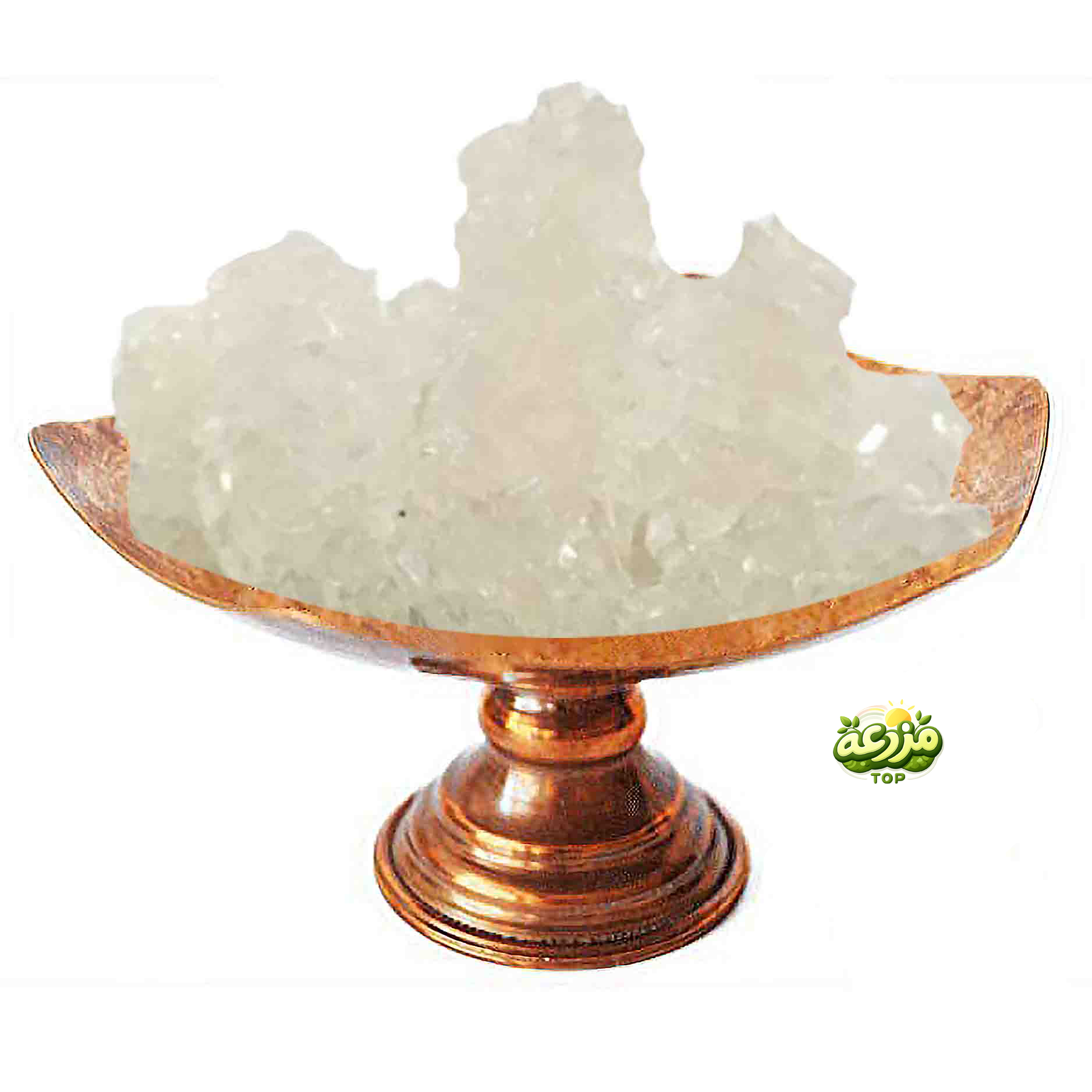 نبات شاخه سفید