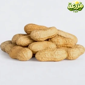 بادام زمینی ریز کپسولی خام