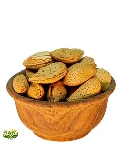 بادام سنگی ایرانی - عکس 2