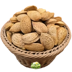 بادام سنگی ایرانی درشت