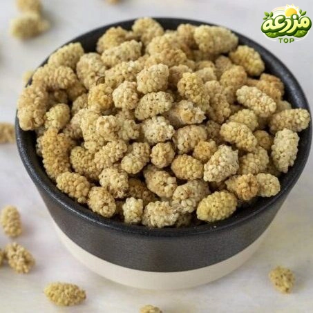 توت خشک - عکس 2