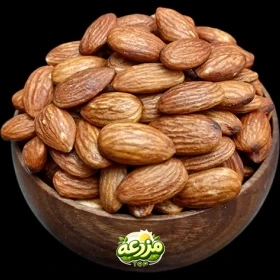 مغز بادام وارداتی شور