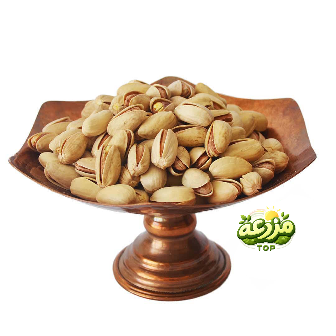 پسته اکبری دستچین خام