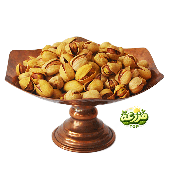 پسته کله قوچی دستچین زعفرانی