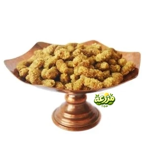 توت خشک سفید