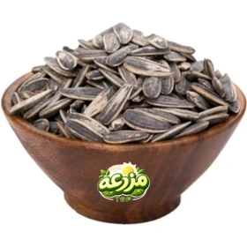 تخمه آفتابگردان دور سفید بوداده نمکی