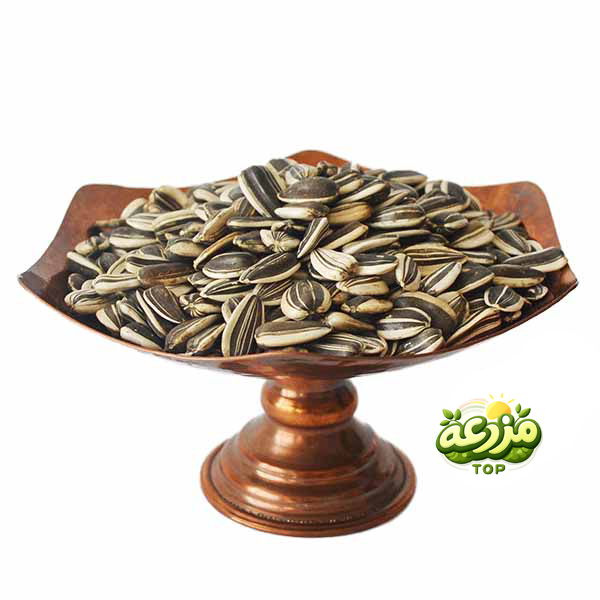 تخمه آفتابگردان دور سفید خام