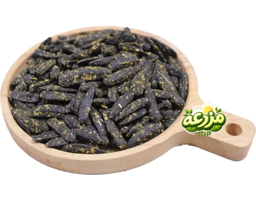 ﺗﺨﻤﻪ آﻓﺘﺎﺑﮕﺮدان شمشیری بوداده گلپر لیمویی
