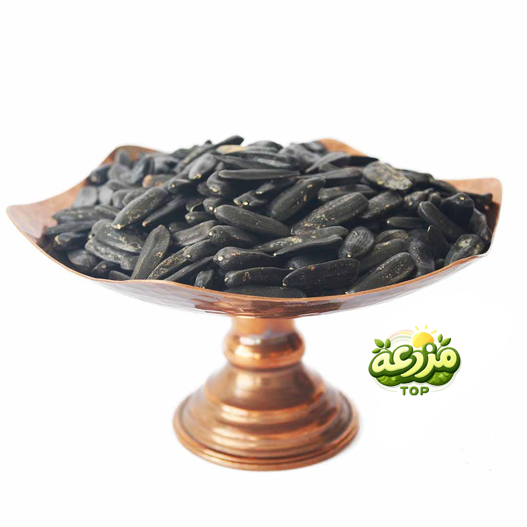 ﺗﺨﻤﻪ آﻓﺘﺎﺑﮕﺮدان شمشیری خام