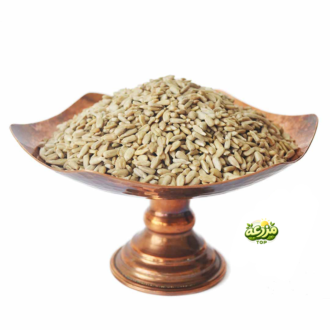 مغز تخمه آفتاب گردان